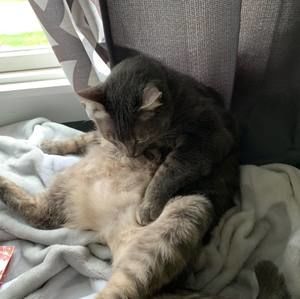 Meet your Posher, Jordan